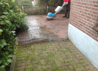 De Borstelman: Uw superhulp tegen groene aanslag en vervuiling! De Borstelman