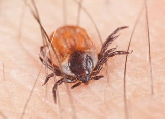 Tekenweetjes Outdoor Store Van Herwijnen