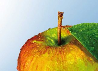 Effectief en blijvend afslanken