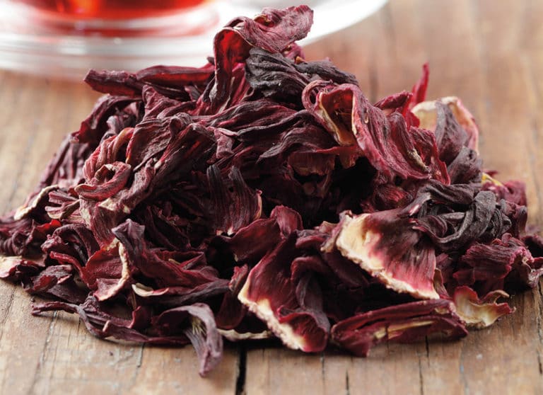 Hibiscus sabdarrifa gunstig bij hoge bloeddruk en cholesterol - Rex