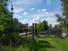 Natuur in Vathorst groeit en bloeit