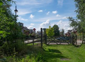 Natuur in Vathorst groeit en bloeit