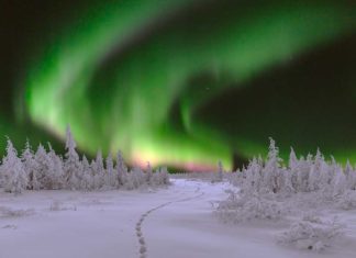 LAPLAND is dichterbij dan ooit…