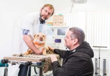 Dierenkliniek Zuidplas (c) Joke Schut