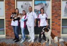 Dierenkliniek Nesselande - Fotografie Maybelline Koense