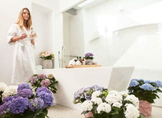 Gezond wonen met hortensia Gezond wonen met hortensia