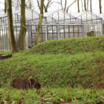 Leefgoed de Olifant – Culinair genieten op Leefgoed de Olifant