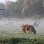 De Overhorn – Overnachten en vergaderen in de natuur