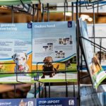 NML health – De groene draad: Welzijn dieren staat centraal