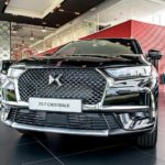 Joie de vivre bij Emerpark