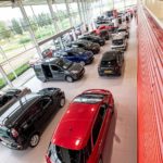 Joie de vivre bij Emerpark