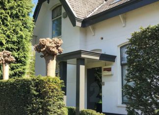 Haarverlies – Een (on)zichtbaar ingrijpend probleem Haarverlies - Een (on)zichtbaar ingrijpend probleem