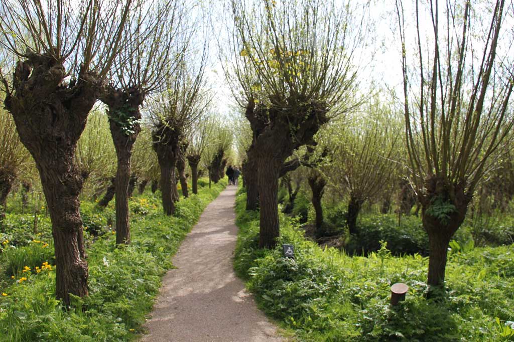 Ontdek IJsselmonde - Je achtertuin is groter dan je denkt