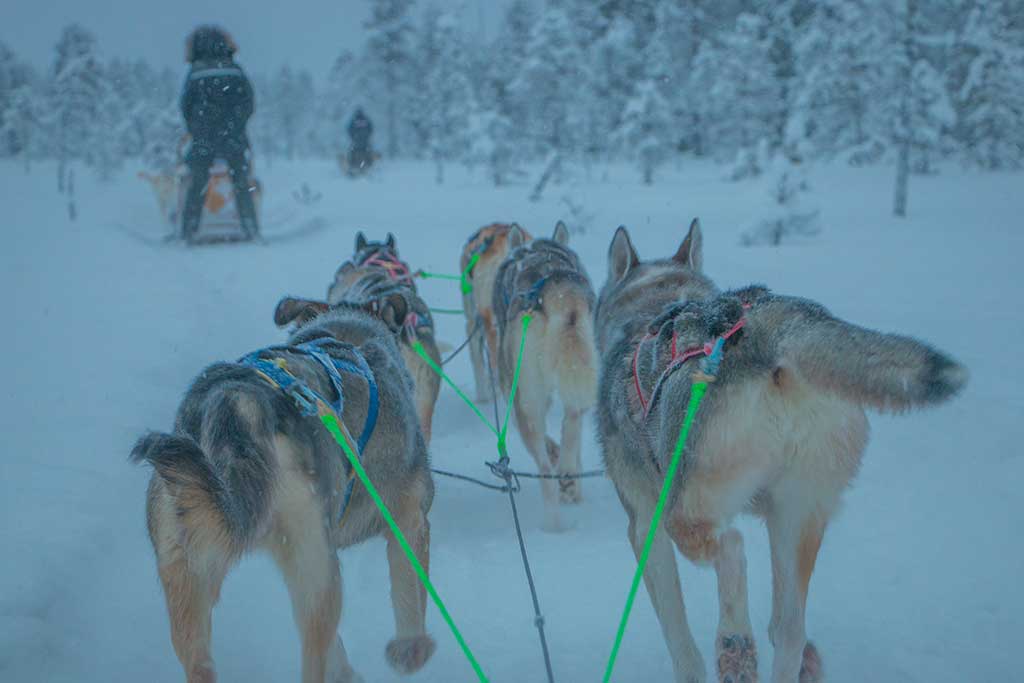 B&B Adventures - Avonturen in de sneeuw