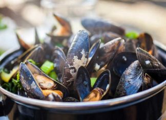 Een culinaire tijdreis met mosselen Coquinaria - Een culinaire tijdreis met mosselen