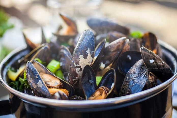 Coquinaria - Een culinaire tijdreis met mosselen