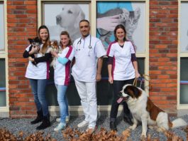 Dierenkliniek Nesselande - Fotografie Maybelline Koense