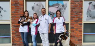 Dierenkliniek Nesselande - Fotografie Maybelline Koense