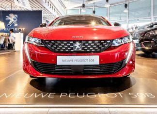 Brullende leeuwen in ’t Gooi Nefkens Hilversum - Fotografie Nico Brons