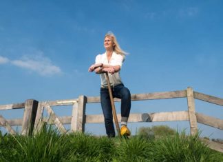 BUITENBEENTJES Veni Vendi