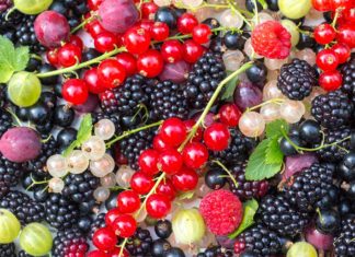 Bij Toulouse-Lautrec aan tafel: Zomerse recepten met bessen Coquinaria