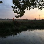 Steenvlinder – Mijn Eigen Wiericke