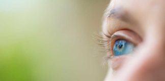 Opticlaer Opticiens - Fotografie Nico Brons