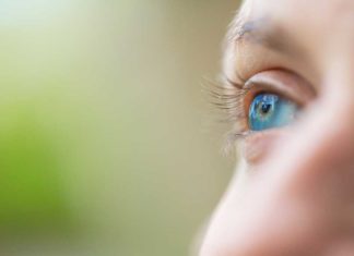 De medewerkers achter Opticlaer Opticiens Opticlaer Opticiens - Fotografie Nico Brons