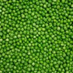 Coquinaria – Fotografie iStockphoto