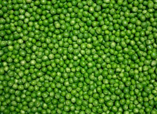 Ravioli voor de lente Coquinaria - Fotografie iStockphoto