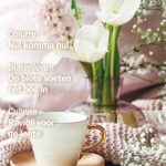 Cover Gooi- en VechtstreekLiving editie 21 (voorjaar 2020)