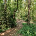 Allurepark ‘t Eekhoornnest – Fotografie Nico Brons