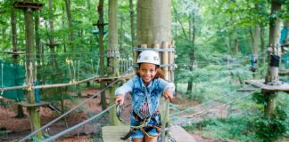 Fun Forest