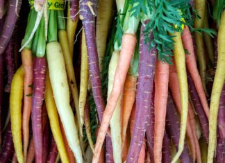 Hutspot uit de Tachtigjarige Oorlog Coquinaria - Fotografie iStockphoto