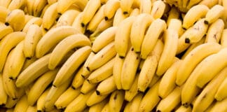 Chiquita - Fotografie iStockphoto