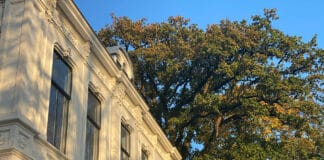 Hotel Flora Batava