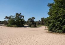 Bungalowpark ‘t Eekhoornnest - Fotografie: Nico Brons