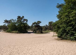 Bungalowpark ‘t Eekhoornnest - Fotografie: Nico Brons
