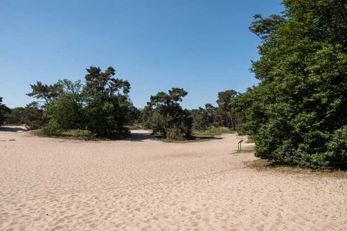 Bungalowpark ‘t Eekhoornnest - Fotografie: Nico Brons