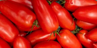 Coquinaria - Fotografie: iStockphoto