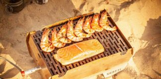 Skotti-Grill