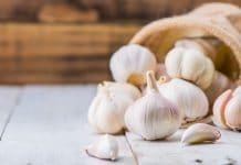 Coquinaria - Fotografie: iStockphoto