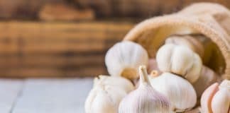 Coquinaria - Fotografie: iStockphoto