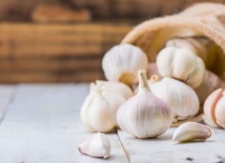 Coquinaria - Fotografie: iStockphoto