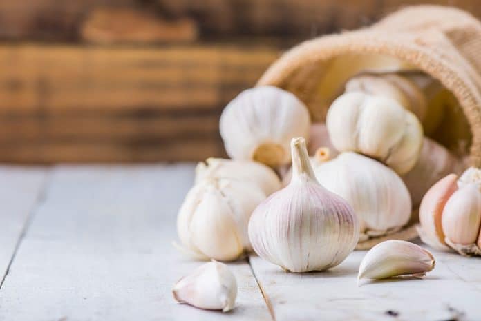 Coquinaria - Fotografie: iStockphoto