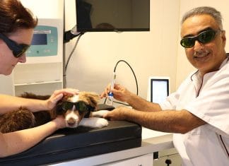 Dierenkliniek Nesselande - Fotografie: Maybelline Koense