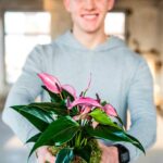 Anthurium – Fotografie: breatheandbloom.info
