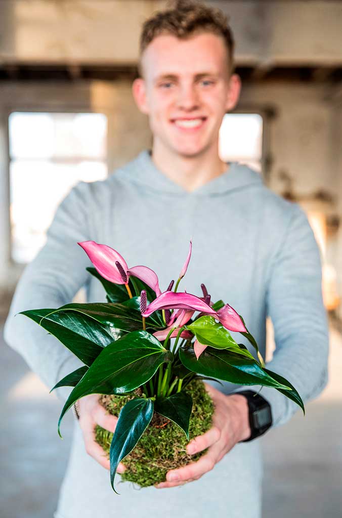 Anthurium - Fotografie: breatheandbloom.info