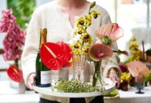 Bloemrijke decemberdecoraties - Fotografie: Anthuriuminfo.com