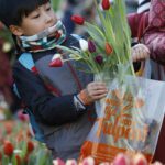 Nationale Tulpendag – Fotografie: TPN